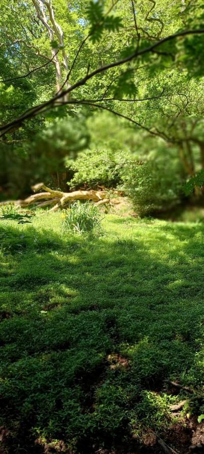 'T Uiltje Villa Ermelo Luaran gambar