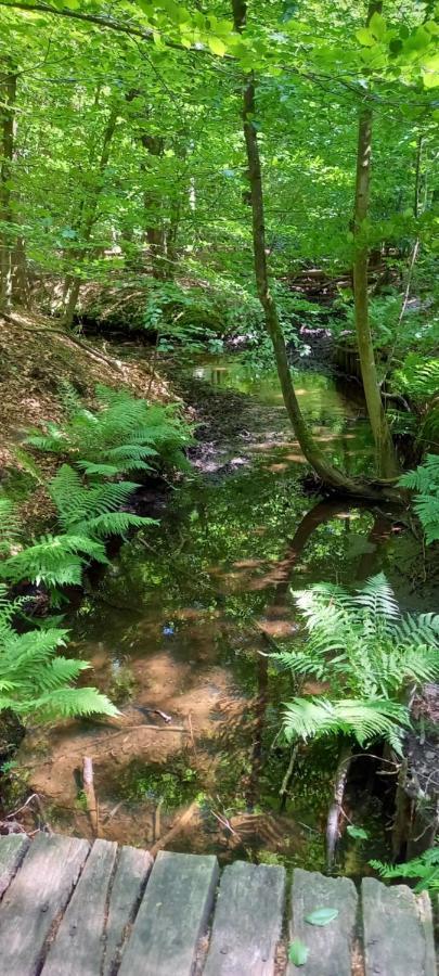 'T Uiltje Villa Ermelo Luaran gambar